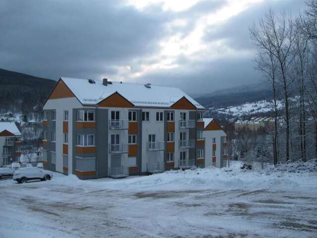 Апартаменты Apartamenty Superior Izery Cicha Сверадув-Здруй-74